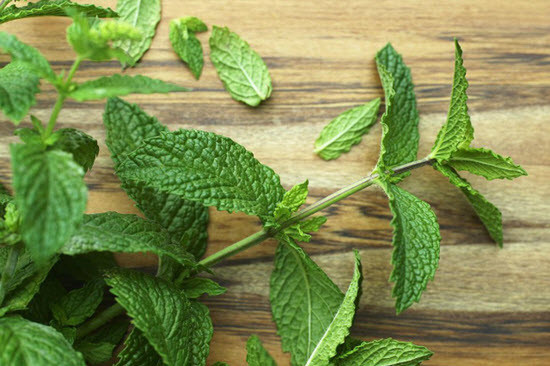 Ngoài ra, bạn có thể tắm lá bạc hà để không chỉ giúp cho máu huyết lưu thông mà còn giúp trị mụn trên cơ thể. Ảnh: dayphache.