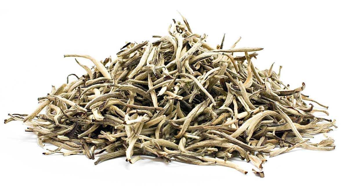 Thậm chí, các nghiên cứu trong ống nghiệm còn phát hiện ra rằng chiết xuất trà trắng còn có khả năng ức chế một số loại tế bào ung thư và ngăn chúng lây lan. Ảnh: flywheel.