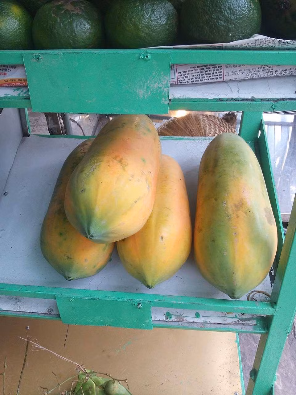 Những loại trái cây có vỏ dày sẽ giúp chống lại dư lượng thuốc trừ sâu. Đây chính là những loại trái cây lành mạnh mà bạn hoàn toàn có thể mua ở dạng thông thường không phải dạng thực phẩm hữu cơ. Ảnh: traicaysach71.