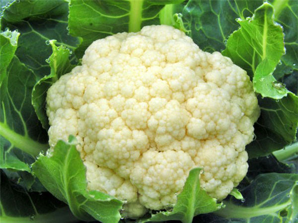 Súp lơ cũng nằm trong nhóm thực phẩm an toàn khi ăn ở dạng không hữu cơ. Ảnh: hellobacsi.