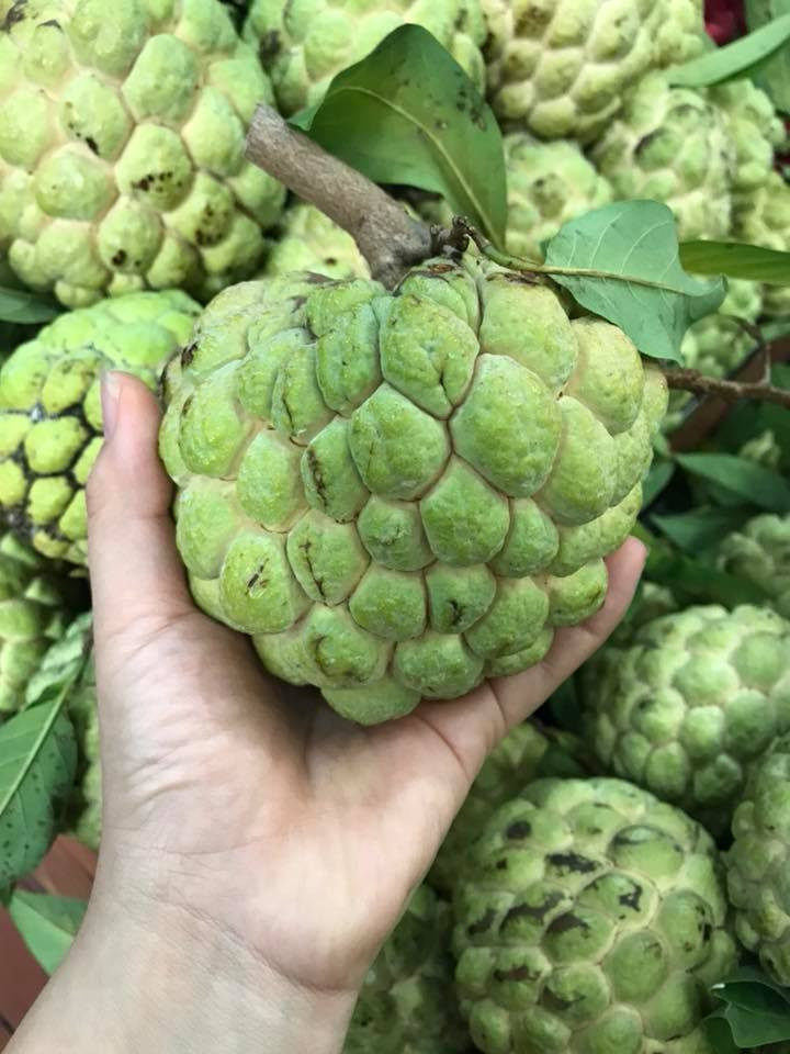 Quả na còn là một nguồn cung cấp vitamin B6 tuyệt vời. Đây là một chất dinh dưỡng giúp điều chỉnh tâm trạng và có thể giúp ngăn ngừa trầm cảm. Ảnh: thuyanhfruits.