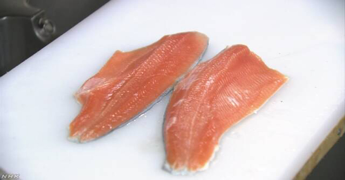 Bang Washington (Hoa Kỳ) cũng đã cấm loại cá hồi nuôi tại trang trại. Ảnh: newfocus.