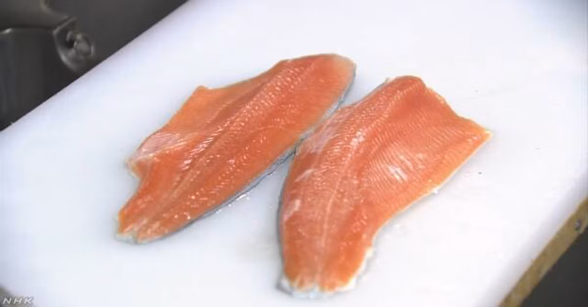 Bang Washington (Hoa Kỳ) cũng đã cấm loại cá hồi nuôi tại trang trại. Ảnh: newfocus.