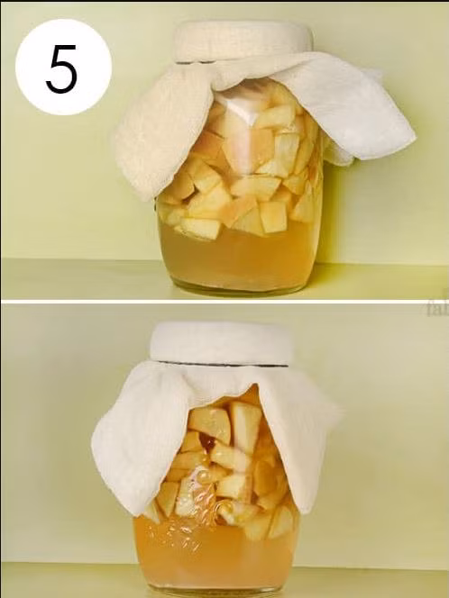 Bước 5: Sau 6 tháng, bạn mở bình ra sẽ thấy xuất hiện một lớp cặn trên bề mặt. Điều này là bình thường, xảy ra do vi khuẩn và được hình thành khi rượu biến thành giấm táo. Ảnh: phunusuckhoe.