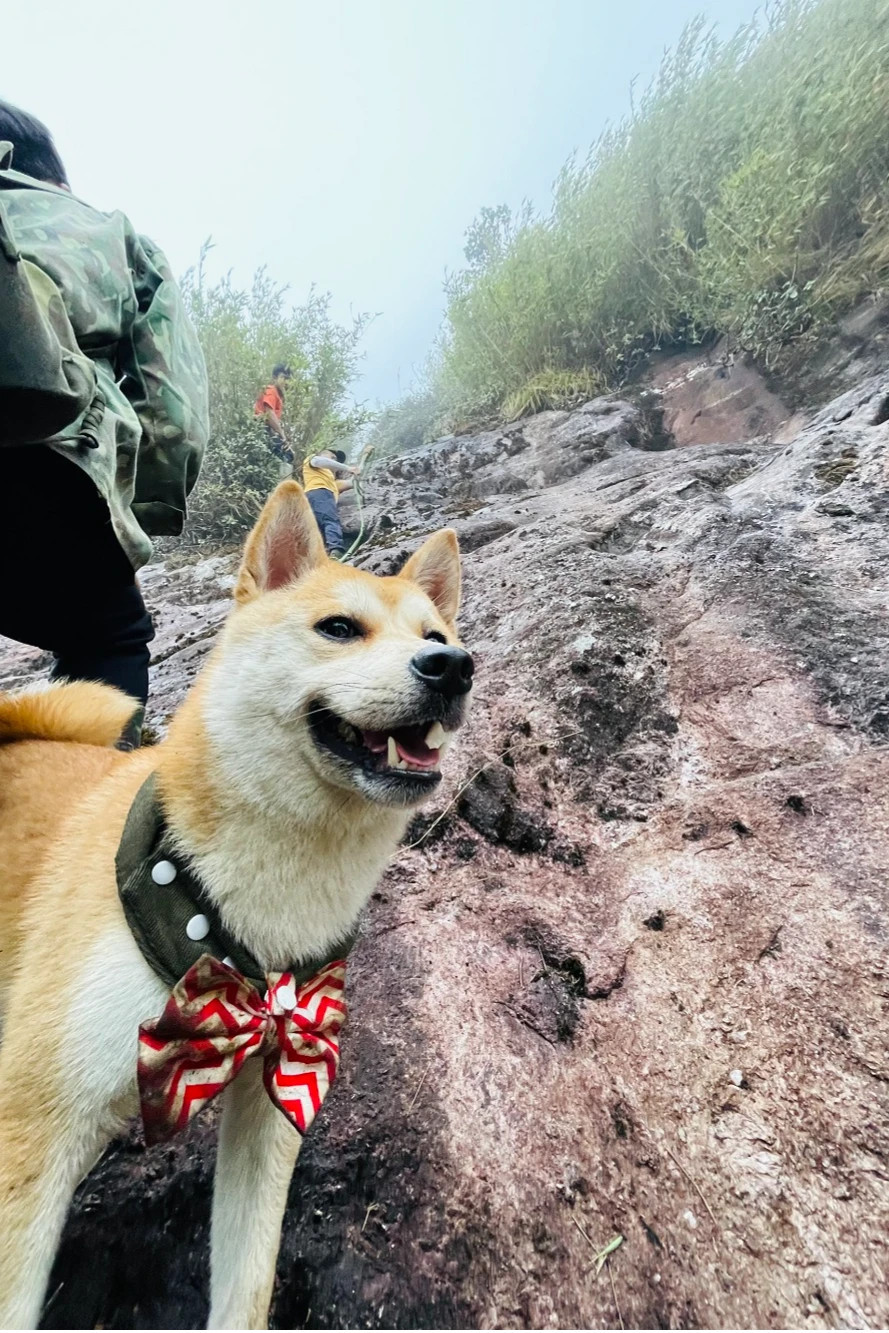 Muc tieu 2025, toi se dan cho cung chinh phuc 15 ngon nui-Hinh-7