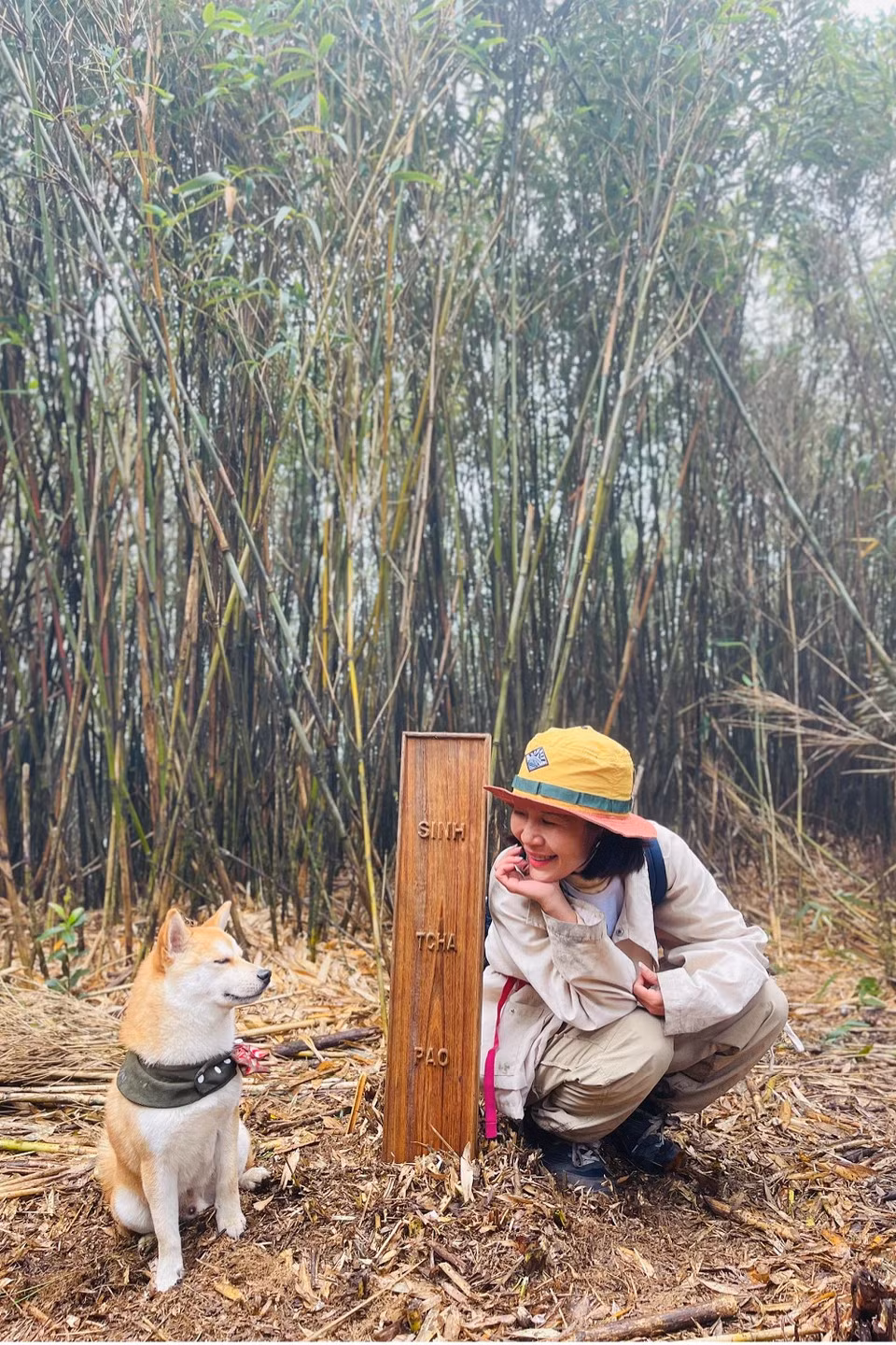 Muc tieu 2025, toi se dan cho cung chinh phuc 15 ngon nui-Hinh-6