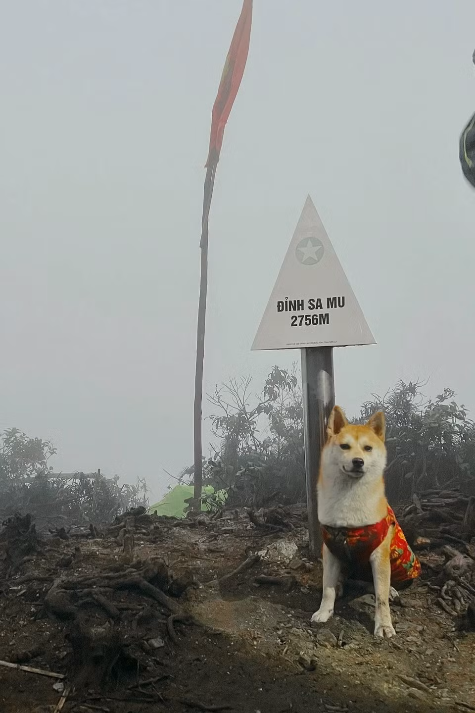 Muc tieu 2025, toi se dan cho cung chinh phuc 15 ngon nui-Hinh-9