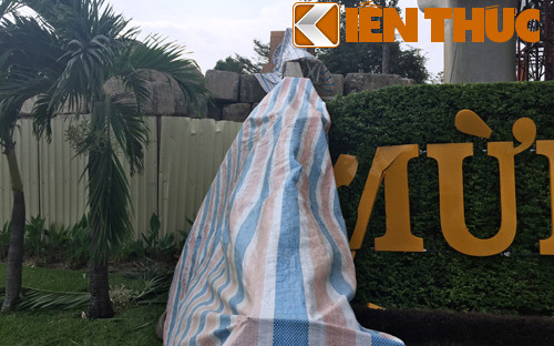 Hot hoang vi sap can cau khung o tuyen Metro Sai Gon-Hinh-3