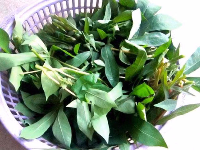 Nha giau Viet san lung “rau nha ngheo”, khong trong cung tu moc xum xue-Hinh-10