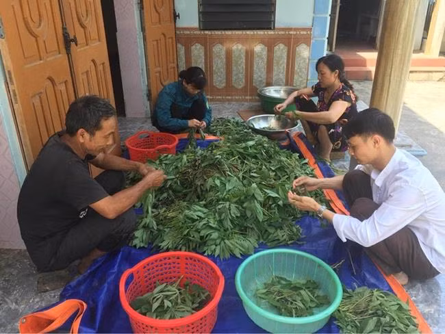 Nha giau Viet san lung “rau nha ngheo”, khong trong cung tu moc xum xue-Hinh-11