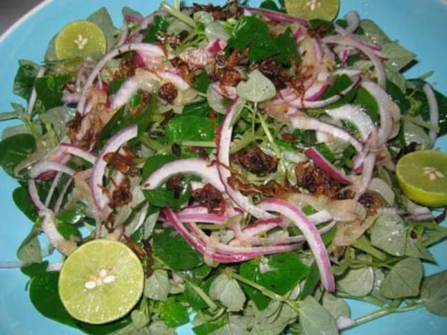 Nha giau Viet san lung “rau nha ngheo”, khong trong cung tu moc xum xue-Hinh-14