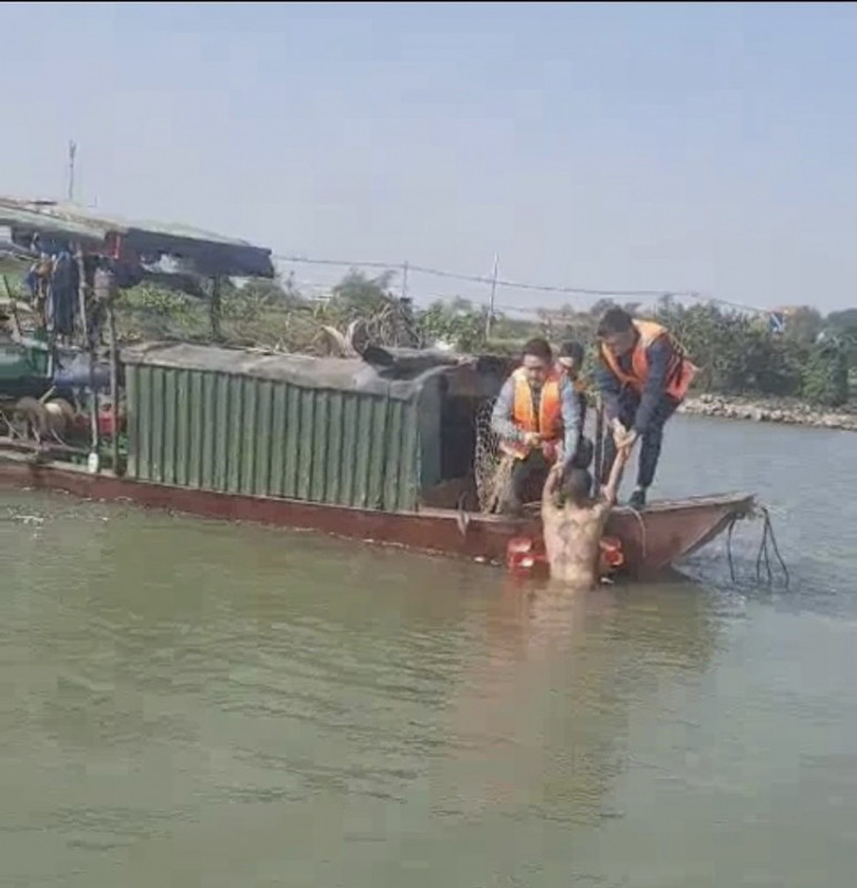 Trong tình huống đó, tổ công tác vây bắt trên 1 đò sắt đi vòng quanh vị trí Thành bơi, chuẩn bị phương án nhảy xuống sông bắt giữ; đồng thời huy động lực lượng cứu hộ, cứu nạn và lực lượng y tế xuống hiện trường. Giữa tiết trời giá rét, các trinh sát tiếp tục vận động, thuyết phục đối tượng. Sau khoảng 1 giờ, một tổ vây bắt đã áp sát được vị trí của Thành, lấy được lọ thuốc sâu trên tay đối tượng và kéo đối tượng lên thuyền.