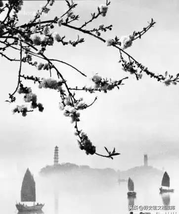 3.Ôn Châu, 1960: Đây là một bức tranh mờ ảo trong sương sớm.