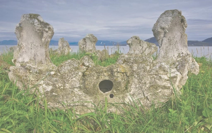 Bãi xương cá voi, Siberia. Khoảng 82 dặm ngoài khơi bờ biển Alaska là bãi xương cá voi gồm đốt sống, xương sườn và xương hàm. Theo các chuyên gia, những chiếc xương này có từ thế kỷ 15.