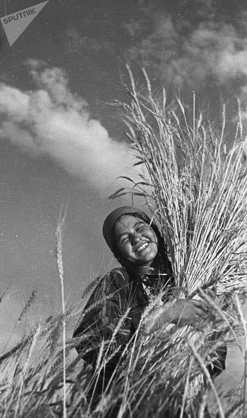 Cô gái rạng rỡ trên cánh đồng tại Turkmenistan năm 1939.