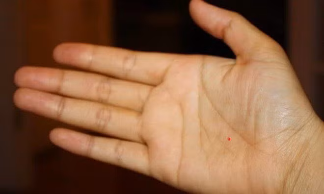 Nói như vậy là vì nốt ruồi ở đây thể hiện năng lực cá nhân của người đó rất tốt, có thể dựa vào tài năng của bản thân cùng sự cần cù, chăm chỉ để kiếm tiền cho mình mà không phải dựa dẫm vào bất cứ ai.