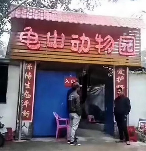 Còn cái gọi là “triển lãm chim cánh cụt” chẳng qua chỉ là vài quả bong bóng hình chim cánh cụt được thổi hơi, bơm căng lên mà trẻ em hay chơi. Trong ảnh là mặt tiền sở thú tại Ngọc Lâm, Quảng Tây, Trung Quốc.