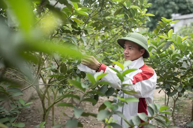 Tuy nhiên, bài đăng của anh không còn thu được nhiều tương tác như thời điểm mới nổi tiếng.