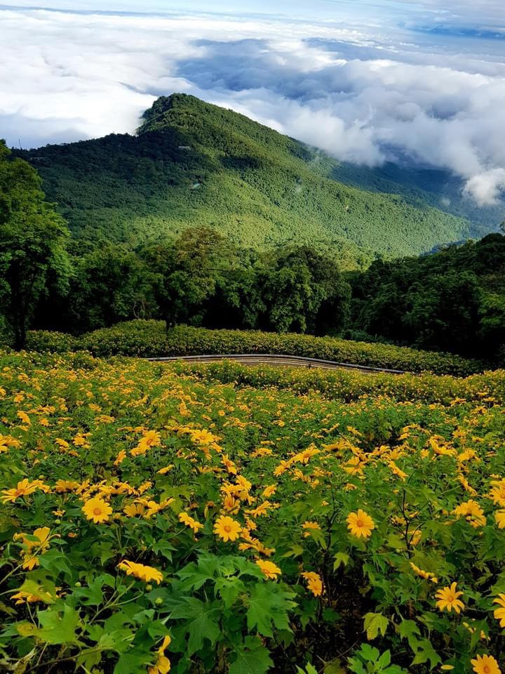 Gioi tre “san” hoa da quy o ngay gan trung tam Ha Noi