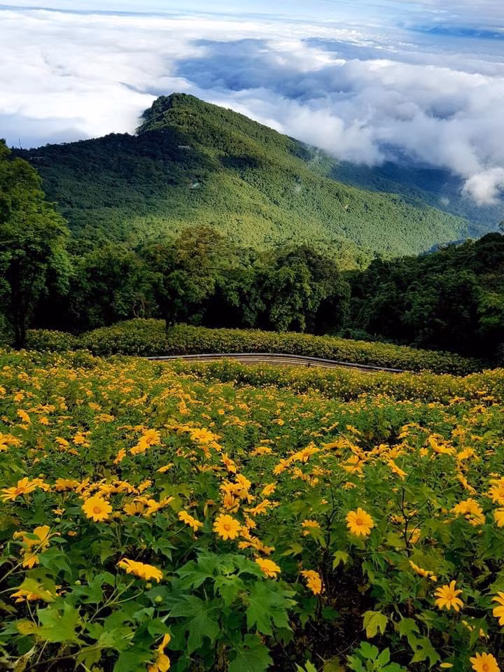 Gioi tre “san” hoa da quy o ngay gan trung tam Ha Noi