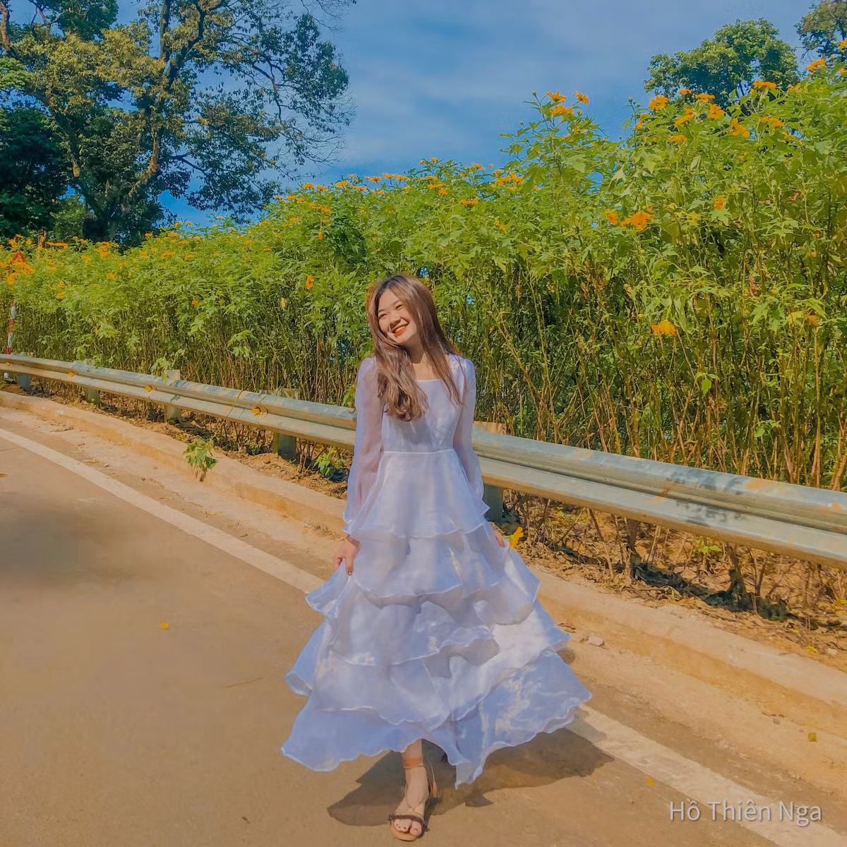 Màu vàng của từng luống hoa dã quỳ, bên dưới những tán cây của rừng già chắc chắn sẽ đem lại cho bạn những bức hình du lịch tuyệt hảo. Ảnh: Hồ Thiên Nga