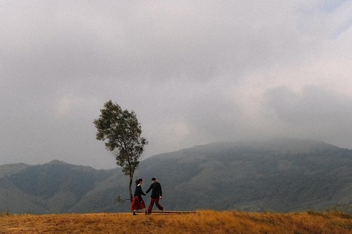 Nơi đây được ví như thảo nguyên hoang sơ, bao quanh là những ngọn núi nhấp nhô, những hàng thông xanh rì, nhiều người cho rằng đồi Phượng Hoàng là địa điểm check in không thể bỏ qua mỗi khi đến du lịch Quảng Ninh. Ảnh: @hyhan.22