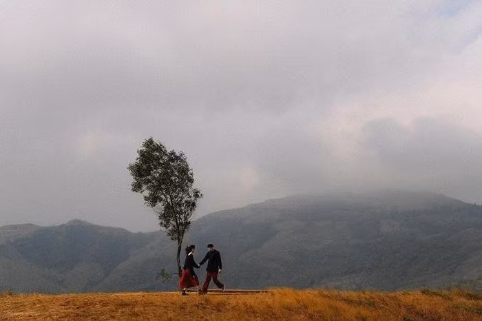 Nơi đây được ví như thảo nguyên hoang sơ, bao quanh là những ngọn núi nhấp nhô, những hàng thông xanh rì, nhiều người cho rằng đồi Phượng Hoàng là địa điểm check in không thể bỏ qua mỗi khi đến du lịch Quảng Ninh. Ảnh: @hyhan.22