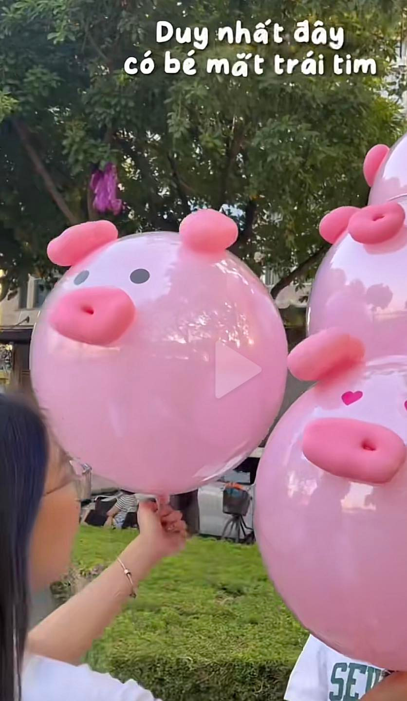Gần đây nhất trên MXH lại xuất hiện đoạn clip ghi lại cảnh những quả bóng hình chú lợn màu hồng xuất hiện nhiều trên hồ Tây, được các bạn trẻ mua và chụp ảnh. Ảnh: Son Harry - Lang Thang Hà Nội