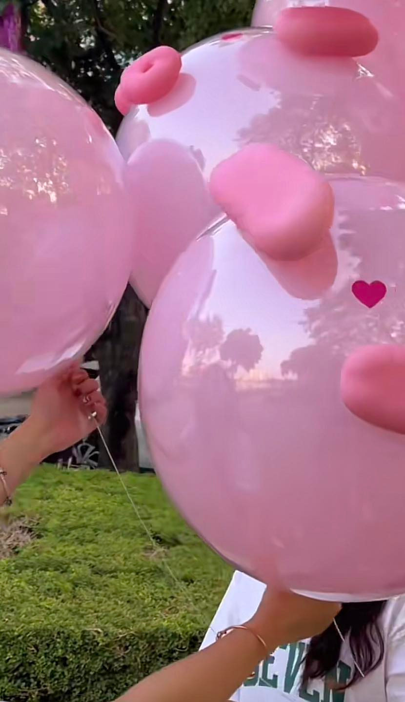 Loại bóng bay này theo người đăng tải là có giá khoảng 80 ngàn đồng, giới trẻ Hà Nội không tiếc tiền để mua và chụp ảnh chỉ trong vài tiếng. Ảnh: Son Harry - Lang Thang Hà Nội