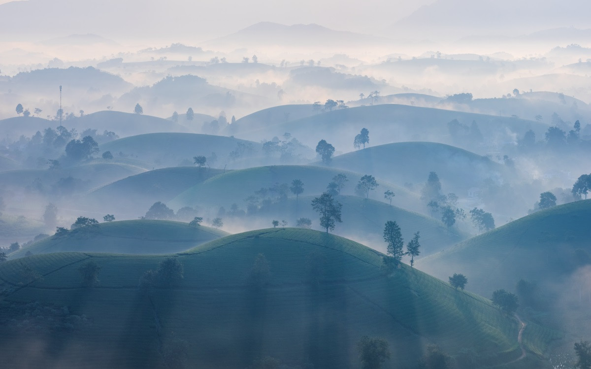 Nếu ai ghé thăm đồi chè Long Cốc mà không chụp ảnh check in thì sẽ là một sự thiếu sót lớn. Ảnh: Nguyễn Anh Chiêm
