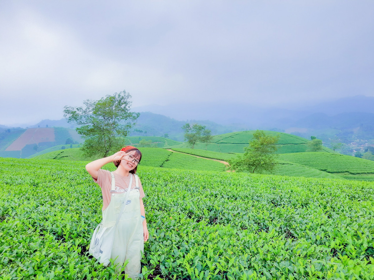 Đồi chè Long Cốc thuộc địa phận xã Long Cốc, huyện Tân Sơn, tỉnh Phú Thọ, cách Hà Nội khoảng 125 km, nơi đây có những "ốc đảo chè" vô cùng nên thơ được mệnh danh là "vịnh Hạ Long vùng trung du". Ảnh: Mai Mai