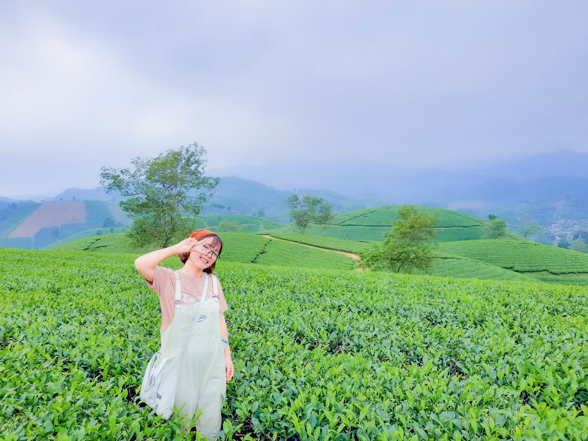 Đồi chè Long Cốc thuộc địa phận xã Long Cốc, huyện Tân Sơn, tỉnh Phú Thọ, cách Hà Nội khoảng 125 km, nơi đây có những "ốc đảo chè" vô cùng nên thơ được mệnh danh là "vịnh Hạ Long vùng trung du". Ảnh: Mai Mai