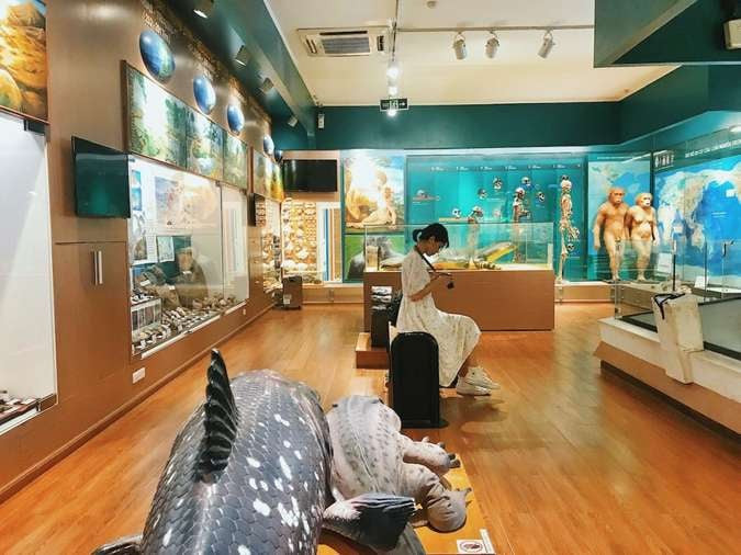 Điểm đến mình thích thú nhất đó là bảo tàng Thiên nhiên Việt Nam, không gian bảo tàng được thiết kế nhỏ xinh và vô cùng ấm cúng. Dưới ánh đèn vàng, mọi mẫu vật hiện lên có phần trang nghiêm xen một chút huyền ảo. Ảnh: Tổng hợp