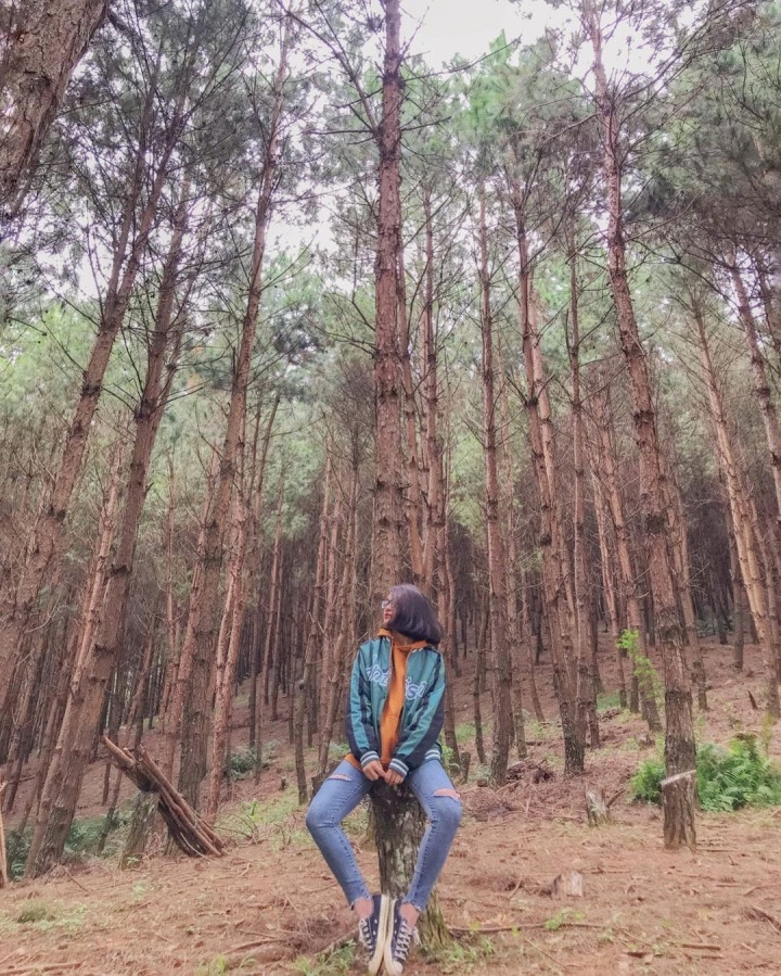 Mặc dù không quá nổi tiếng như rừng thông Bản Áng, nhưng bù lại nơi đây có một khung cảnh vắng người hơn, có thêm nhiều không gian để thư giãn và sống chậm lại. Ảnh: thaoo_thaoo2222