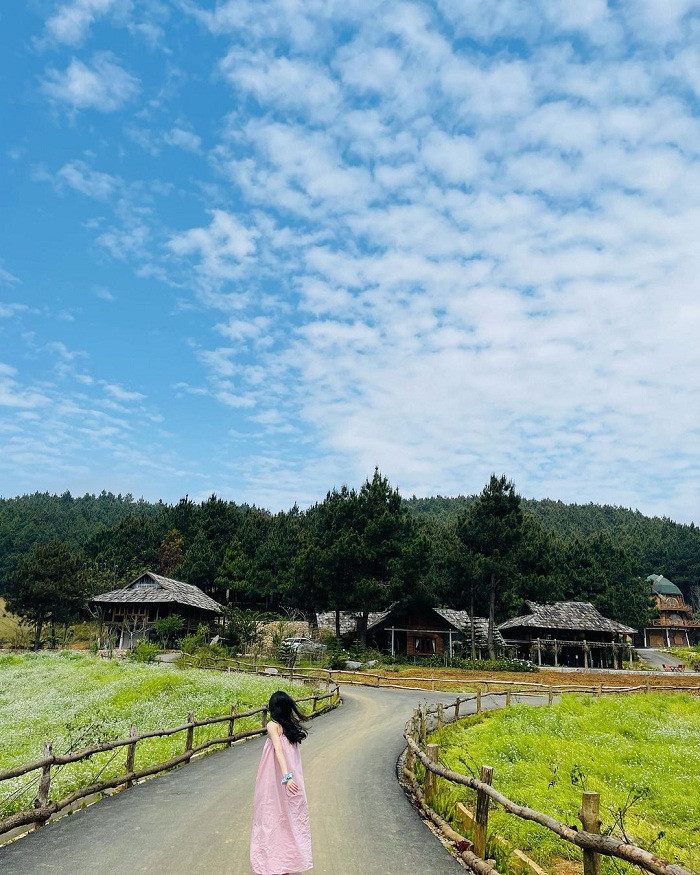 Giữa rừng thông thường có các lối đi nhỏ, là nơi mà bạn có thể thỏa sức tạo dáng. Những khu nghỉ dưỡng nằm ven rừng thông cũng sở hữu khung cảnh đẹp trữ tình. Ảnh: @l.a.m.t.a.c