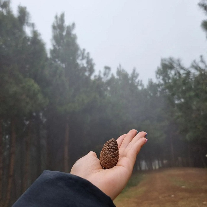 Chịu khó leo lên đến đỉnh đồi, du khách sẽ được chiêu đãi bức tranh toàn cảnh nên thơ của huyện Vân Hồ. Ảnh: @missbudamato