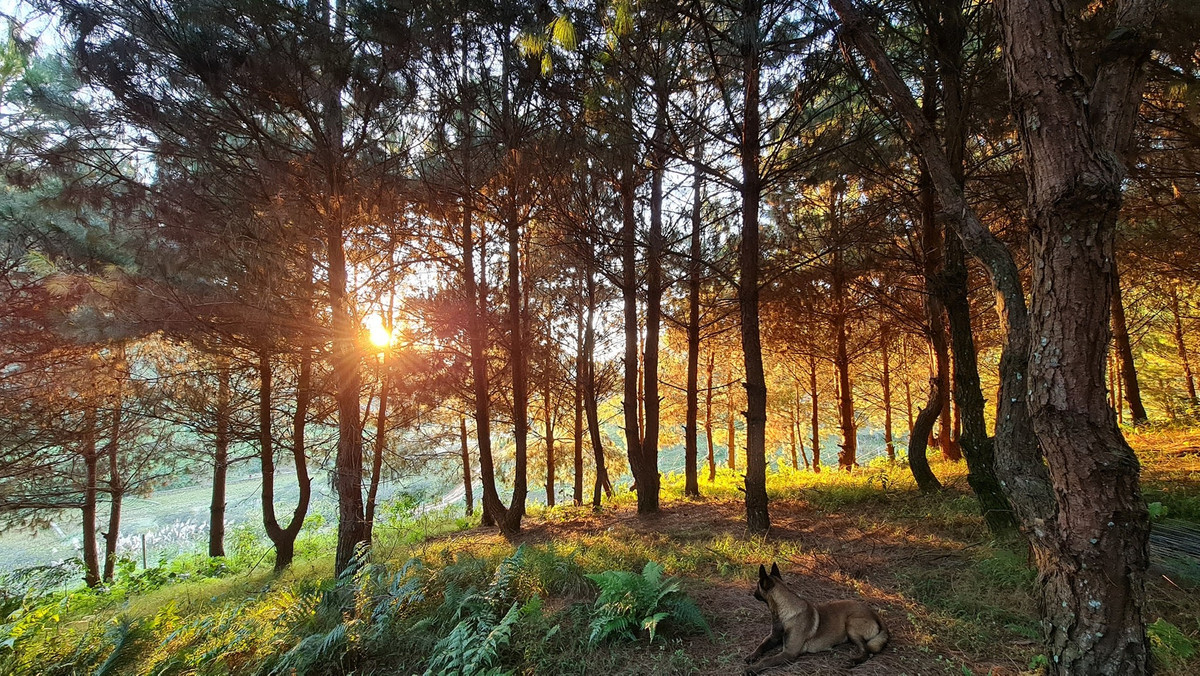 Đến nơi đây du khách cảm nhận được sự bình yên, hòa mình cùng thiên nhiên núi rừng Tây Bắc. Ảnh: Đinh Quốc Hưng