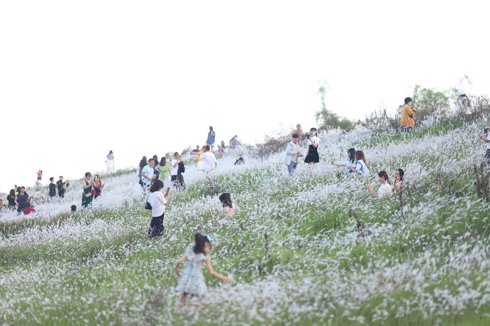 De co lau Long Bien phu trang, gioi tre dua nhau check in