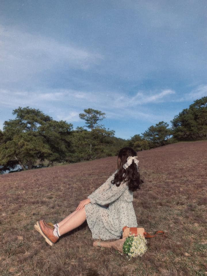 Thời điểm đẹp nhất trong ngày để ngắm cánh đồng, đồi cỏ rực một màu hồng chính là khi nắng lên. Khoảng thời gian từ kinh nghiệm của du khách là vào 5h30 đến 7h, hoặc vào ban chiều khoảng 2 - 3h chiều. Ảnh: Linh Trang