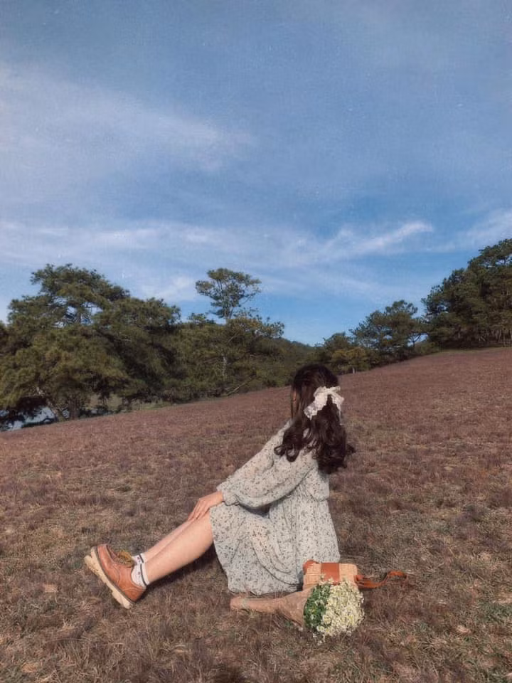 Thời điểm đẹp nhất trong ngày để ngắm cánh đồng, đồi cỏ rực một màu hồng chính là khi nắng lên. Khoảng thời gian từ kinh nghiệm của du khách là vào 5h30 đến 7h, hoặc vào ban chiều khoảng 2 - 3h chiều. Ảnh: Linh Trang