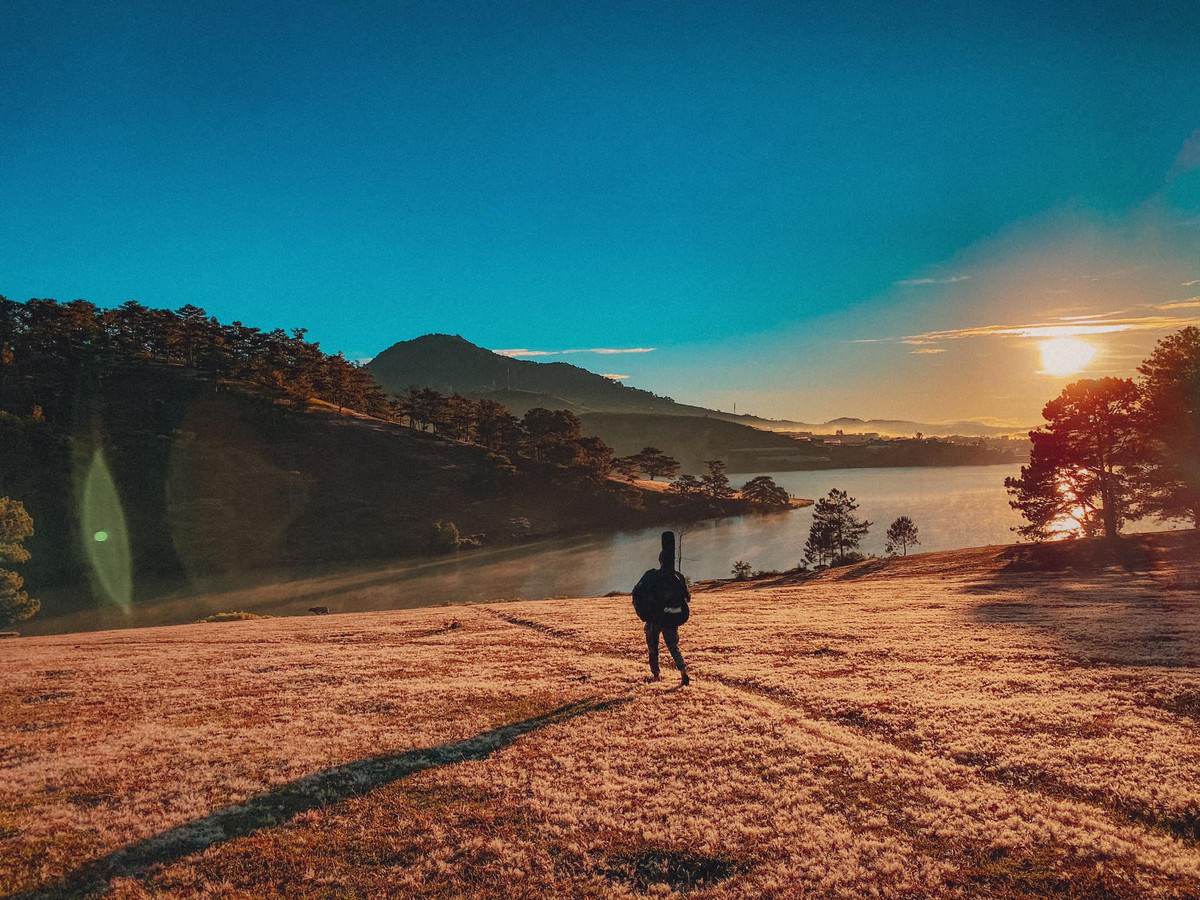 Ghé thăm Đà Lạt thời điểm cuối năm, đồi cỏ hồng chính là địa điểm check in được thêm vào hành trình du hí của mỗi du khách. Ảnh: Đồng Ngô