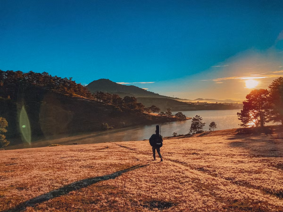 Ghé thăm Đà Lạt thời điểm cuối năm, đồi cỏ hồng chính là địa điểm check in được thêm vào hành trình du hí của mỗi du khách. Ảnh: Đồng Ngô