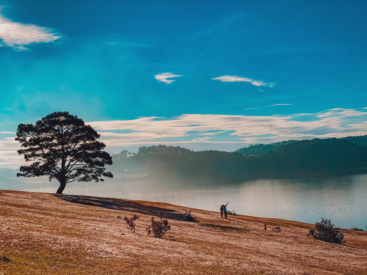 Ngoài ra, có những cặp đôi cũng yêu thích lựa chọn đồi cỏ hồng là nơi để thực hiện bộ ảnh cưới của mình. Ảnh: Đồng Ngô