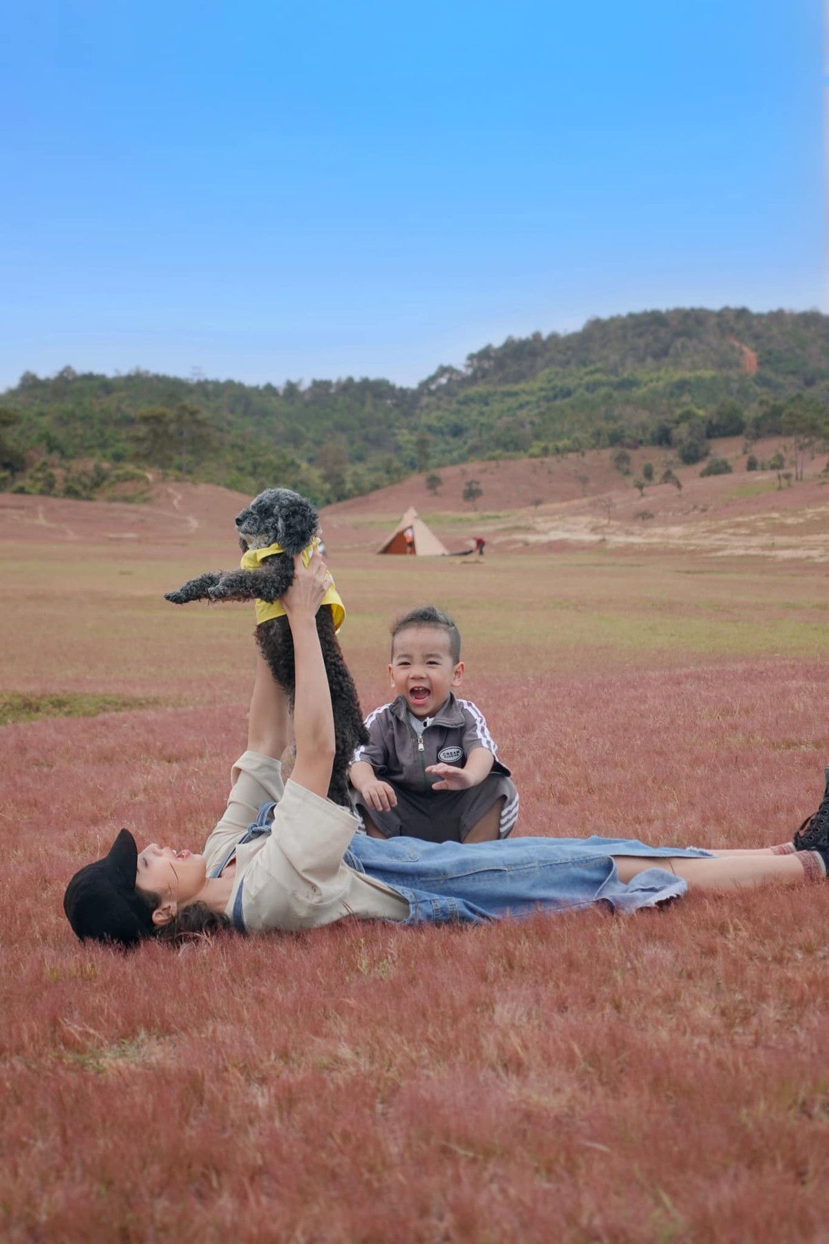 Đây là một loại cỏ đặc trưng, thường xuất hiện ở vùng cao nguyên. Không chỉ có ở Đà Lạt, ta cũng có thể bắt gặp những cánh đồng cỏ hồng ở Gia Lai hay các khu vực lân cận. Ảnh: Hà My