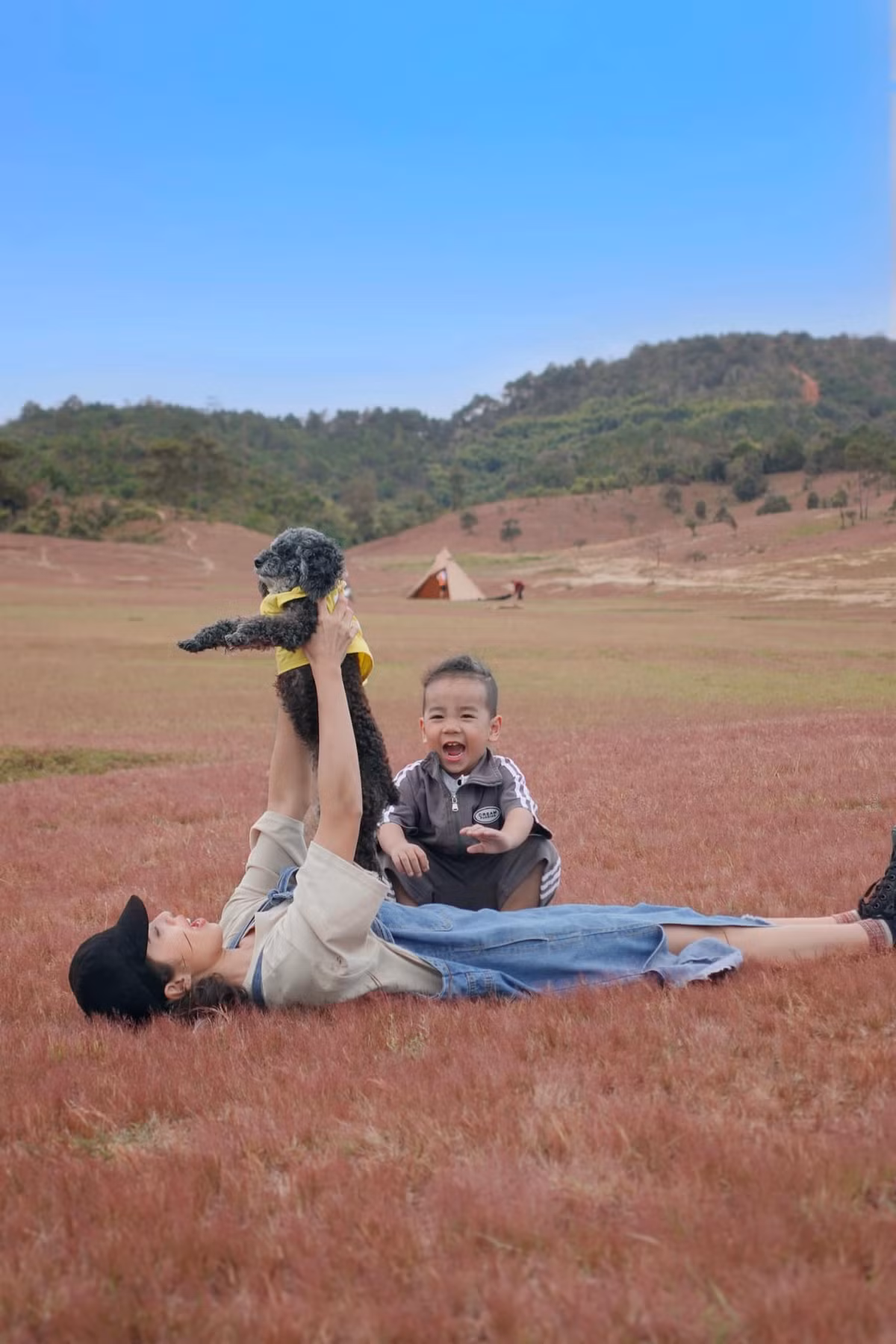 Đây là một loại cỏ đặc trưng, thường xuất hiện ở vùng cao nguyên. Không chỉ có ở Đà Lạt, ta cũng có thể bắt gặp những cánh đồng cỏ hồng ở Gia Lai hay các khu vực lân cận. Ảnh: Hà My