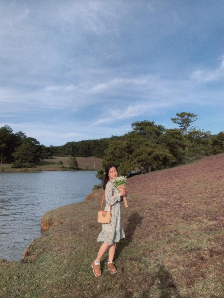 Chính bởi khung cảnh có phần lãng mạn như vậy, nên mỗi năm, vào mùa cỏ hồng Đà Lạt lại thu hút rất đông du khách đến chiêm ngưỡng và check in. Ảnh: Linh Trang