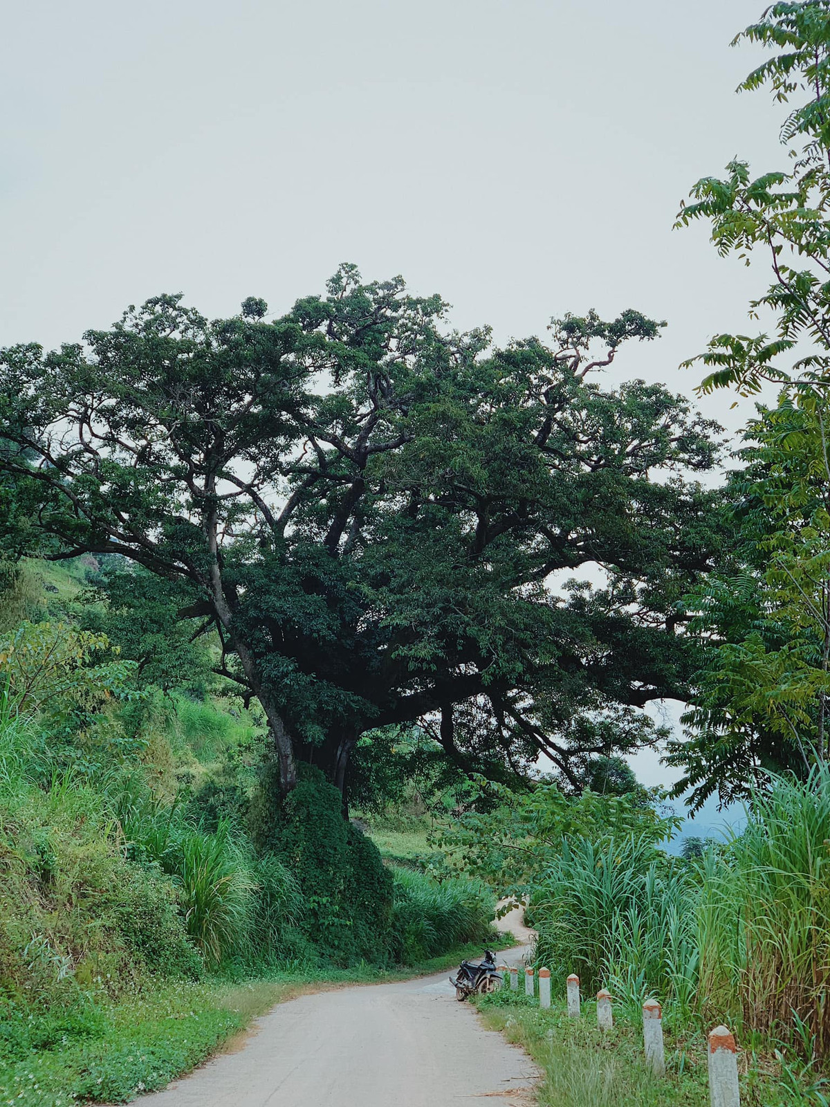 Làng cổ Thiên Hương cách trung tâm thị trấn tầm 7km, nằm trên Cao nguyên đá Đồng Văn, tuy nhiên đây là địa điểm check in Hà Giang ít người biết đến. Ảnh: Đi cùng Jayni