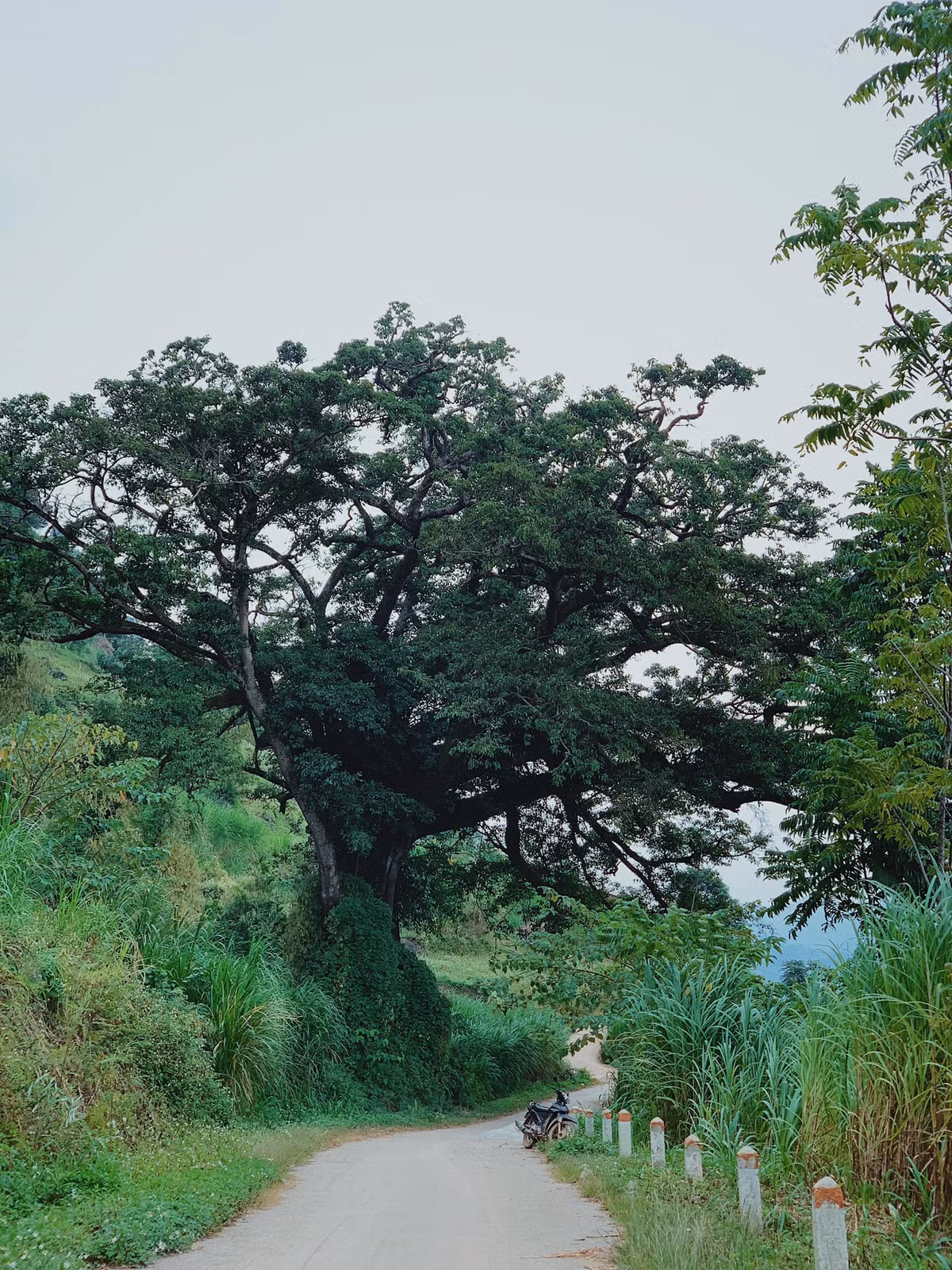 Làng cổ Thiên Hương cách trung tâm thị trấn tầm 7km, nằm trên Cao nguyên đá Đồng Văn, tuy nhiên đây là địa điểm check in Hà Giang ít người biết đến. Ảnh: Đi cùng Jayni