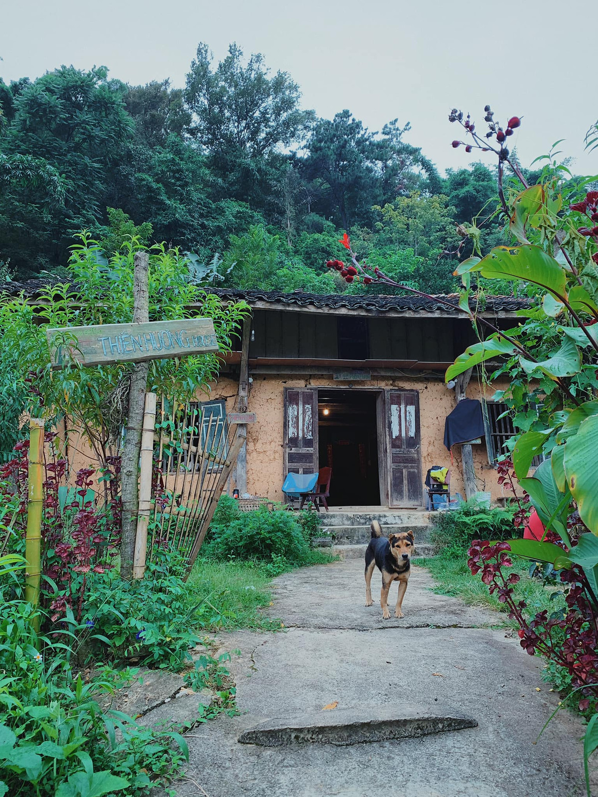 Địa hình đa phần núi dốc, những ngôi nhà trong làng cũng được xây dựng thành nhiều "bậc thang" vô cùng đẹp mắt. Đường vào làng Thiên Hương cũng vô cùng độc đáo, một bên là vực thẳm, một bên lại là vách núi cheo leo với những mái nhà mộc mạc. Ảnh: Đi cùng Jayni