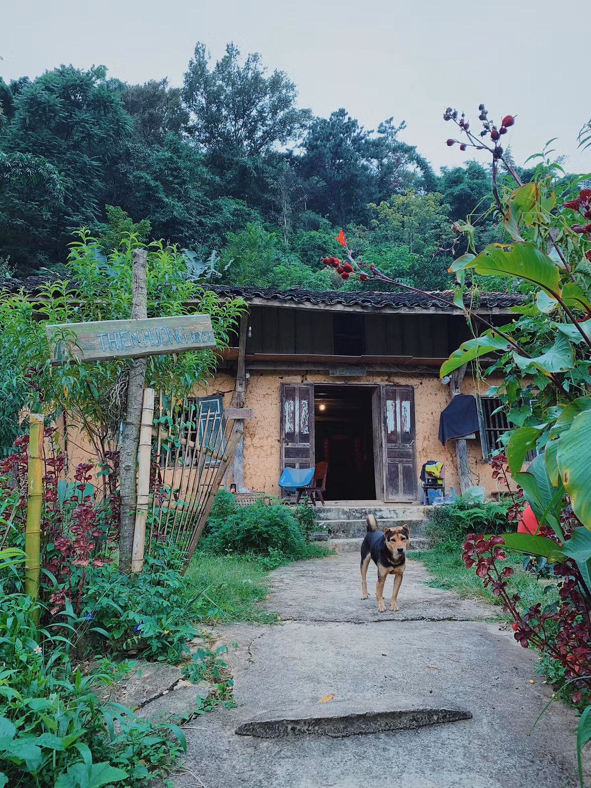 Địa hình đa phần núi dốc, những ngôi nhà trong làng cũng được xây dựng thành nhiều "bậc thang" vô cùng đẹp mắt. Đường vào làng Thiên Hương cũng vô cùng độc đáo, một bên là vực thẳm, một bên lại là vách núi cheo leo với những mái nhà mộc mạc. Ảnh: Đi cùng Jayni